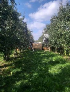 mere-pere-6